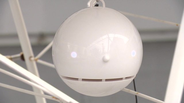 福島テレビに設置されたポールンロボ