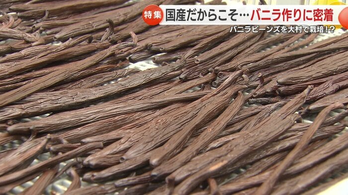 乾燥が進むとしわが出てくる