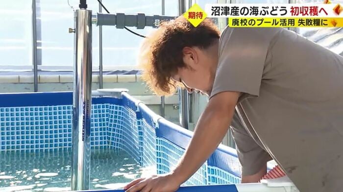 水槽をのぞき込む庄司さん