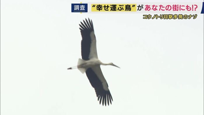 絶滅から復活へ