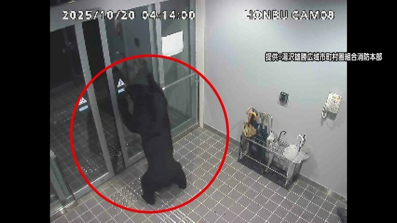 丸1日経過も捕獲至らず…市街地で男性4人が立て続けにクマに襲われ住宅に居座る　玄関ドアには赤く染まった足跡と爪　秋田・湯沢市｜FNNプライムオンライン