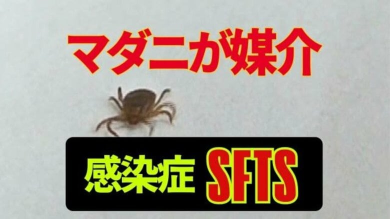 マダニ媒介の感染症「SFTS」福井県内でも3年ぶりに感染確認 農作業中の80代女性 草むらでは肌の露出避ける対策を|FNNプライムオンライン