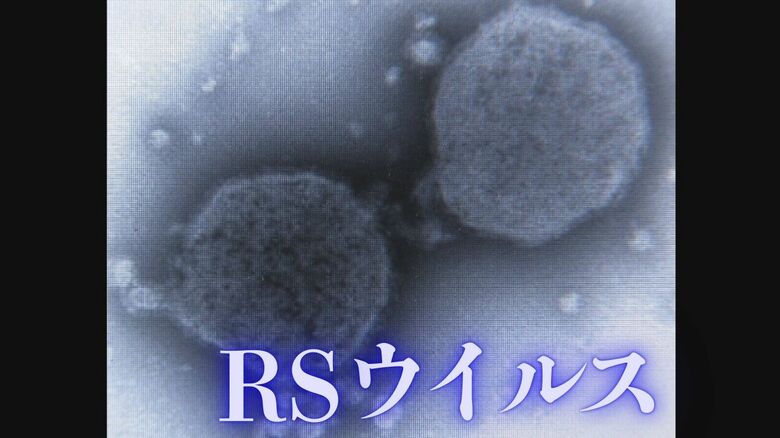 今年は秋も注意…RSウイルス感染症　鼻づまりでミルクが飲みにくそう、咳込む赤ちゃんは早めの受診を　妊婦には母子免疫ワクチンも　福井｜FNNプライムオンライン
