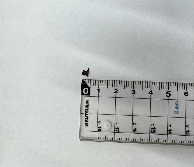 新潟・妙高市の学校給食に金属片混入　「わかめごはん」に5mm角の金属片　生徒にケガや体調不良はみられず｜FNNプライムオンライン
