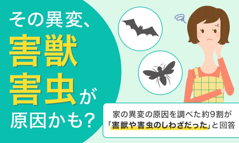 【その異変、害獣・害虫が原因かも？】家の異変の原因を調べた約9割が「害獣や害虫のしわざだった」と回答