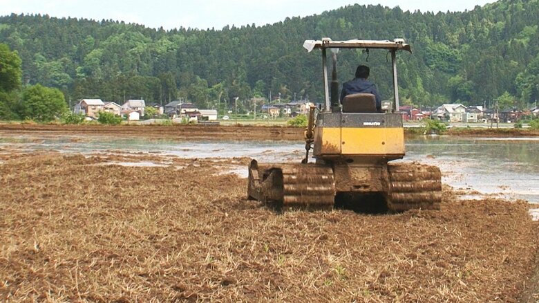 早くも田んぼで“水不足”!? すでにダム放流…猛暑･少雪に加え“地震”も影響…｢先が案じられる｣【新潟発】｜FNNプライムオンライン