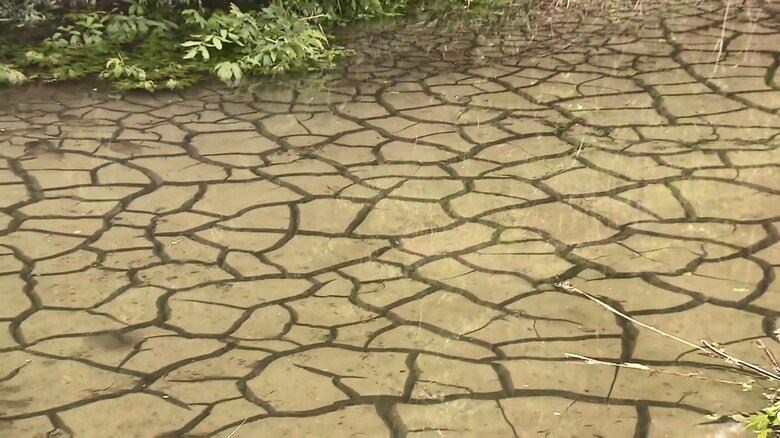 ため池の底がひび割れ、井戸枯渇　リニア工事の影響か…14カ所で水位低下を確認　「自然を壊した」住民苦言　岐阜・瑞浪市｜FNNプライムオンライン