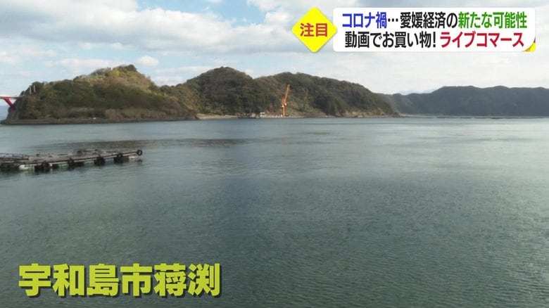 「四国のイタリア」宇和島市菰渕