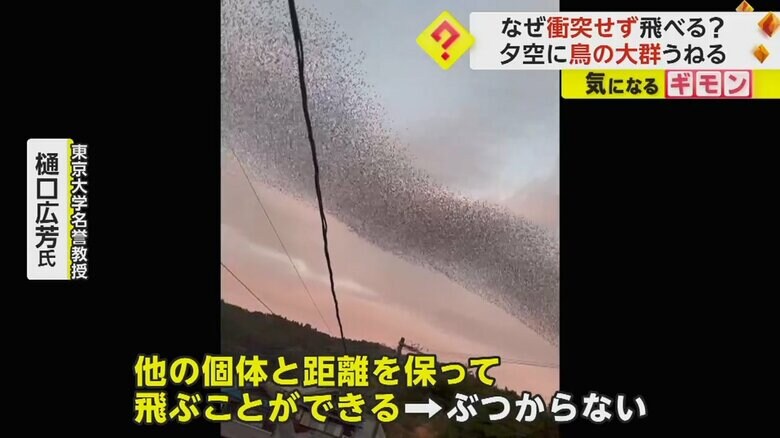 （宮崎さん撮影）