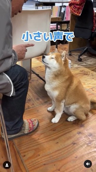 提供：エイトデザイン