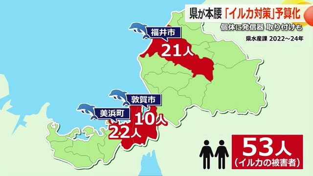 野生イルカによる被害は3年間で53人