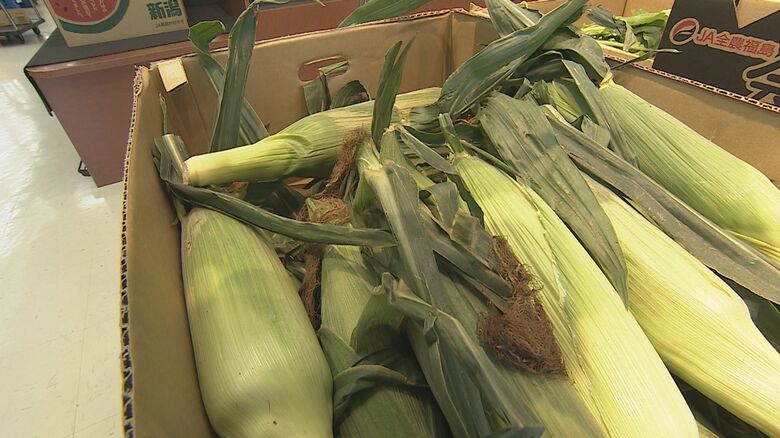 高温少雨の影響で入荷量減少 価格は上昇