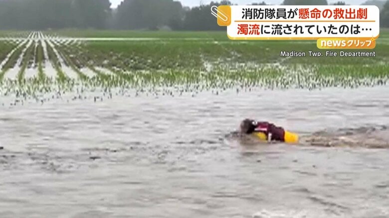 消防隊員が救助するシカの赤ちゃん（アメリカ中西部・インディアナ州）