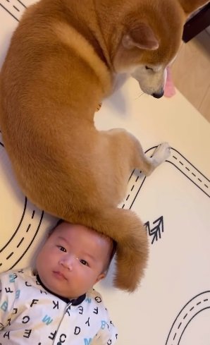 しゅんくんとの距離も近づいている？