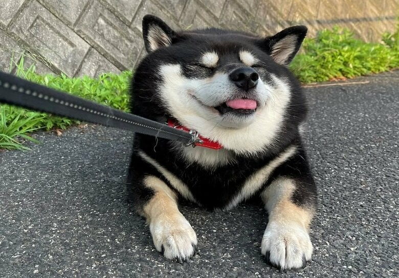 寝たフリで帰宅を拒否するたろうくん