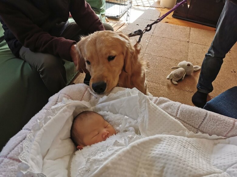 ベビさんに初対面のとき（提供：ふぉるてさん）