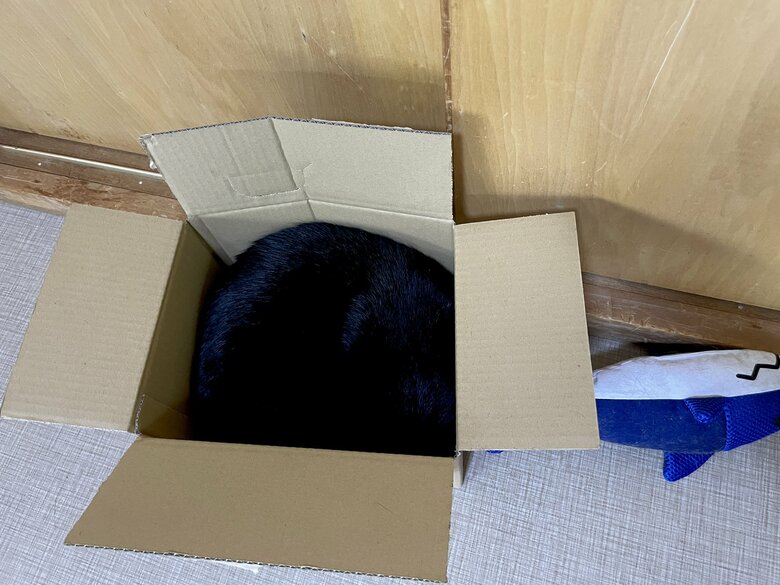 提供：マクーさん