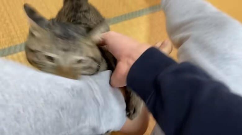 再び足にガブリ