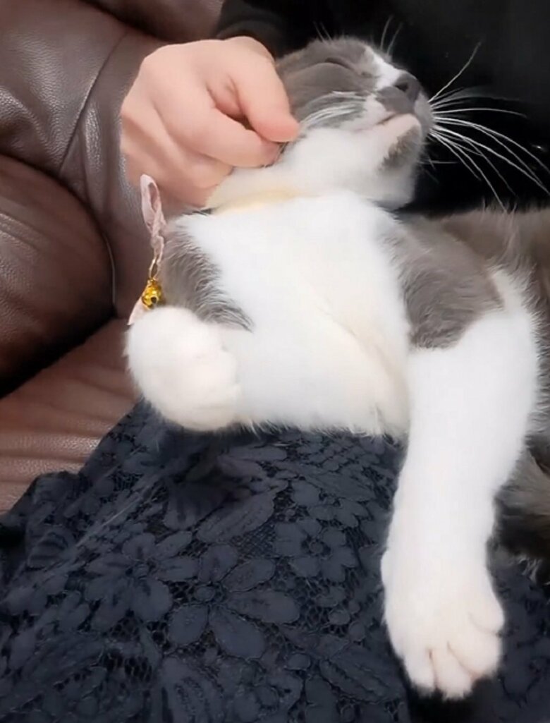 甘えるさちちゃん