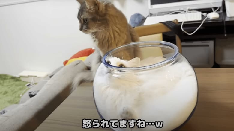 近くに来た雨くん