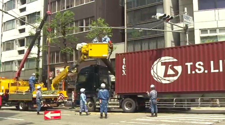 高さは約10メートルの街路樹が倒れる