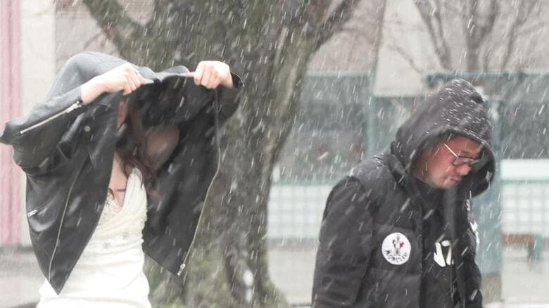 想定外の雪に困惑する様子も（帯広市）