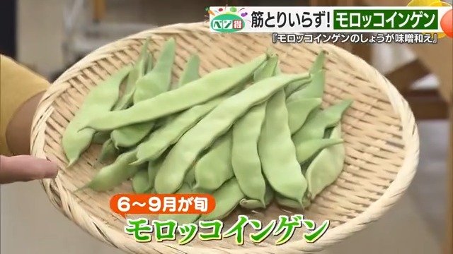 ６月から９月にかけてが旬のモロッコインゲン