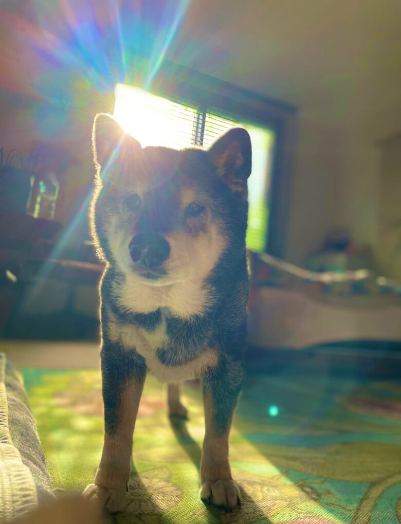 後光が差している