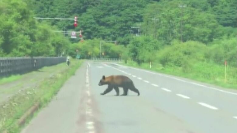 撮影：hayataku＠hayataku2000