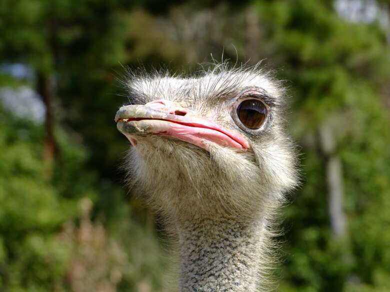 提供：塚本康浩