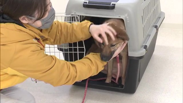 よく褒めて　入ることはいい事という意識づけ