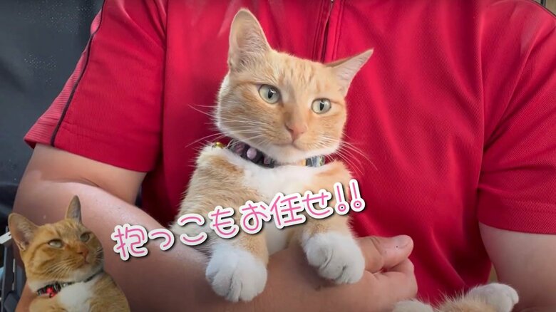 チャミちゃんを迎えるまで（5）