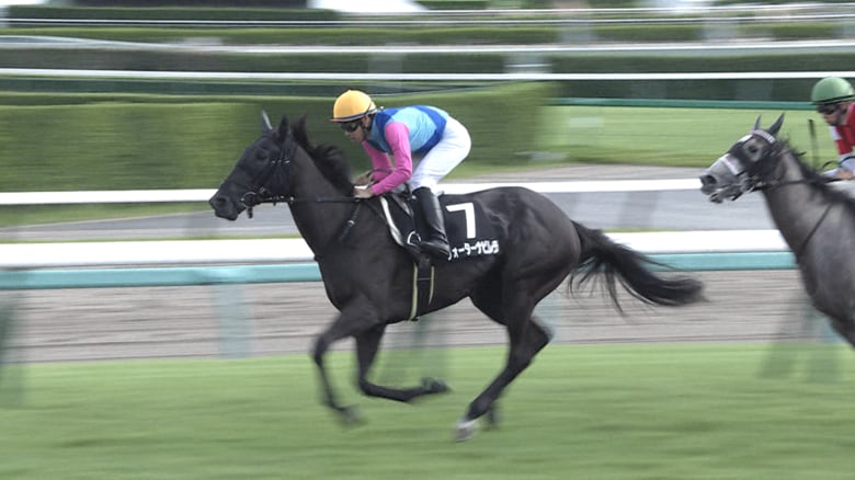 ウォーターナビレラ（2021年サフラン賞）