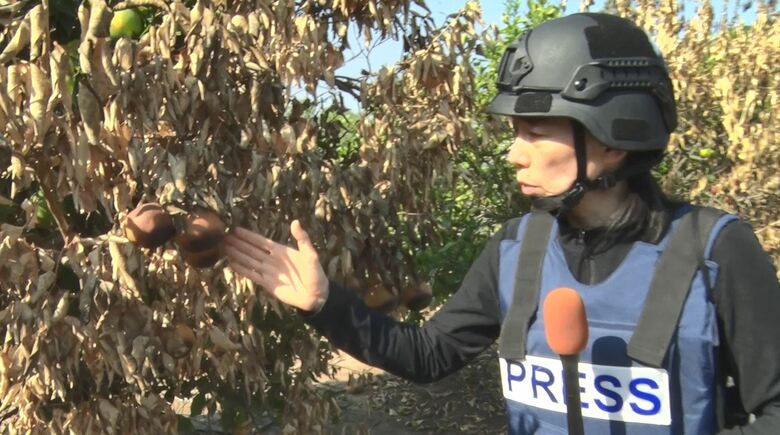 殺害された夫婦の庭の木にはかんきつ系の果物が黒く焦げていた…