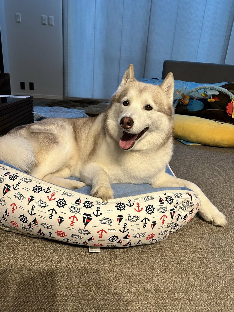 ヴィヴィアンくん