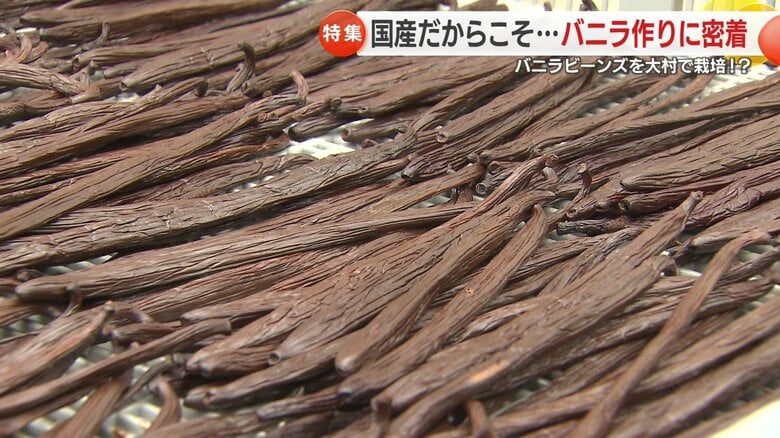 乾燥が進むとしわが出てくる