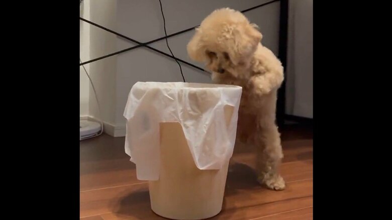 人間のような姿に