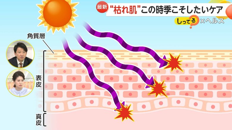 冬の乾燥により炎症やシミ、シワを引き起こす肌の仕組み③