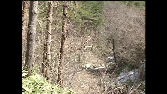 遺体が発見された現場（2000年撮影）