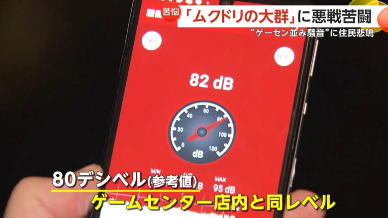 アプリで測定すると80dB（デジベル）の騒音