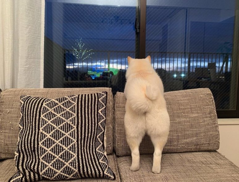 提供：ラッキーさん