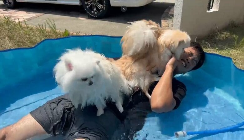 プールに沈められちゃうパパ