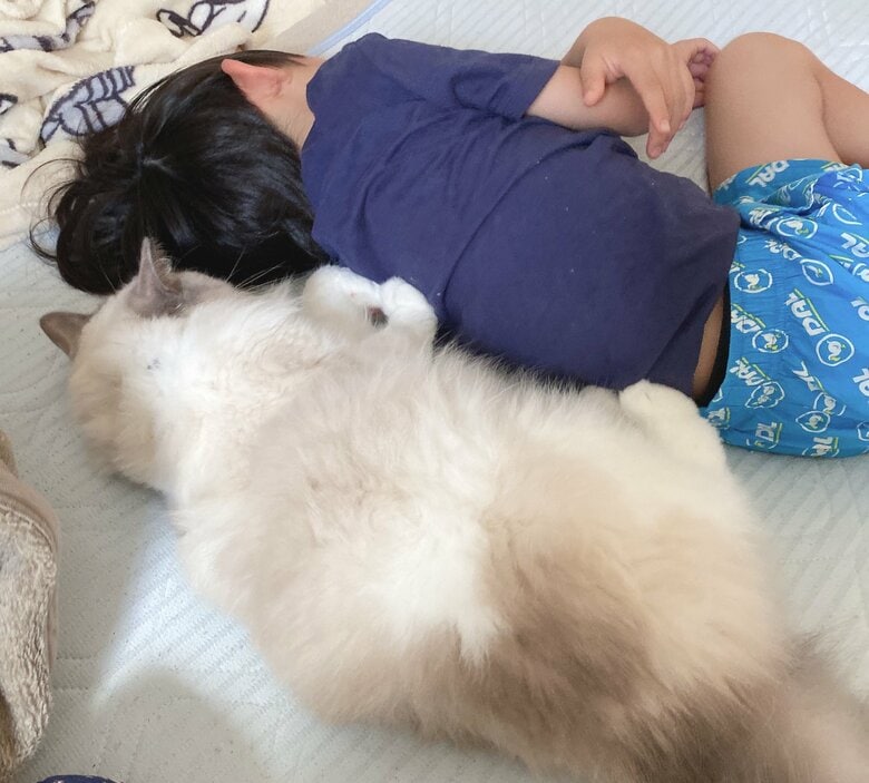 同じ体勢で眠ることも