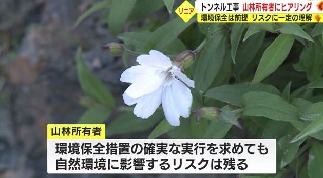 南アルプスの草花