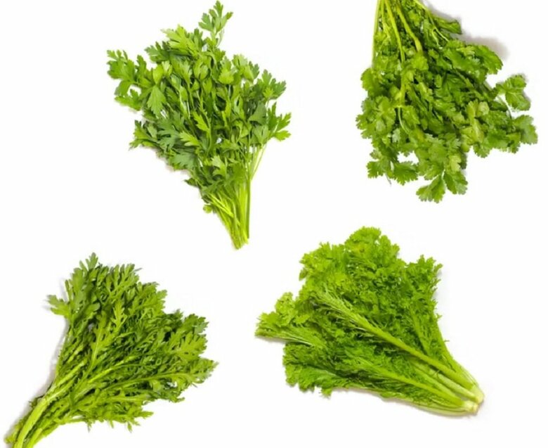 収録されている野菜の一部