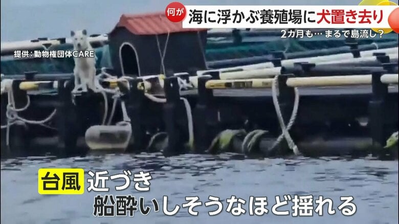 台風が近づき養殖場は上下に大きく揺れていた