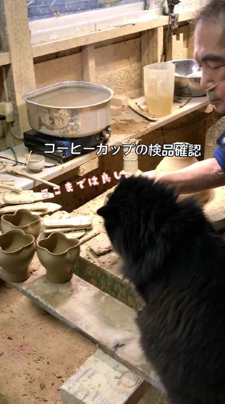 コーヒーカップの検品確認