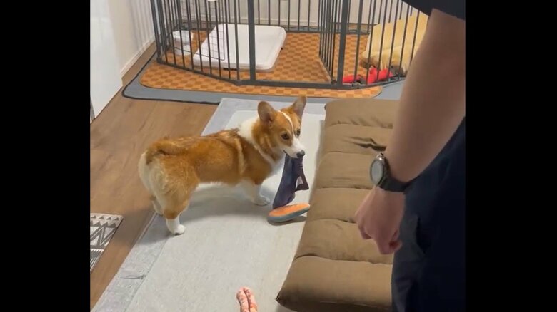 お父さんとの追いかけっこ　その4