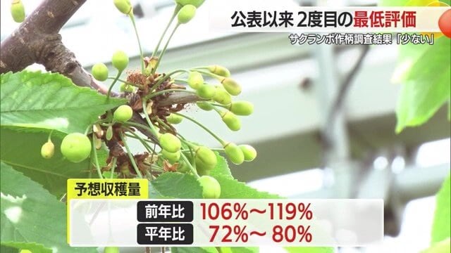 予想収穫量は不作だった2024年よりはましだが、平年の7～8割程度の見込み