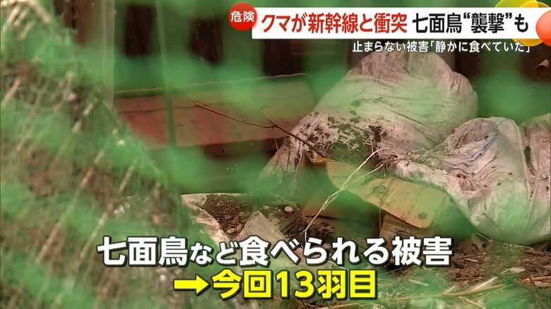 たびたび七面鳥などを食べられる被害に遭っている住宅